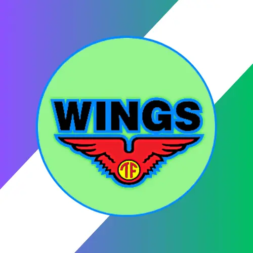 PT Wings Group